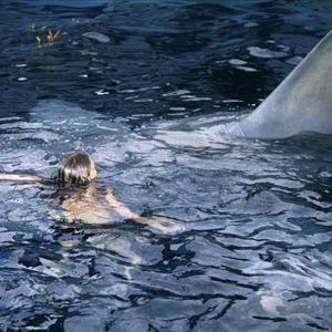 Photo Les Dents de la Mer