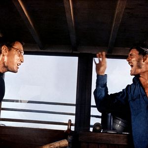 Photo Robert Shaw