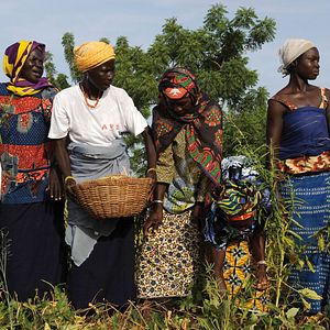 Photo Burkinabè Bounty