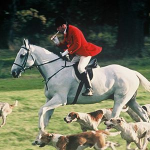 Photo Inspecteur Barnaby