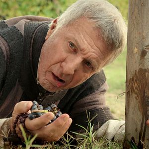 Photo Les Médicis : Maîtres de Florence / Lorenzo le Magnifique