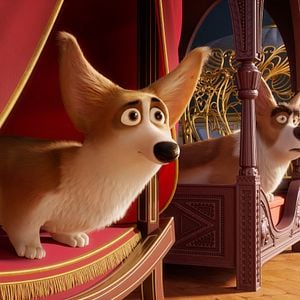 Photo Royal Corgi