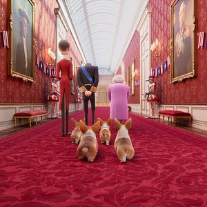 Photo Royal Corgi