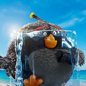 Photo Angry Birds : Copains comme cochons