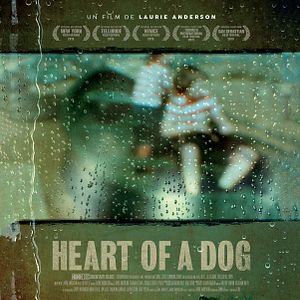 Photo Heart Of A Dog