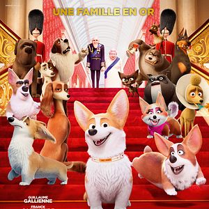 Photo Royal Corgi