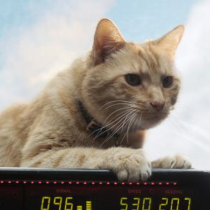 Photo Captain Marvel