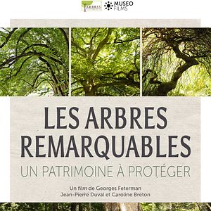 Photo Les Arbres Remarquables, un patrimoine à protéger
