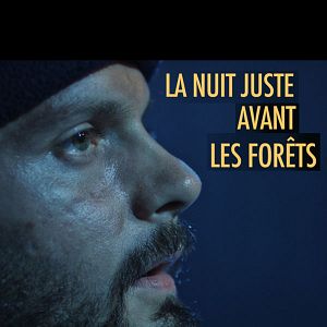 Photo La nuit juste avant les forêts