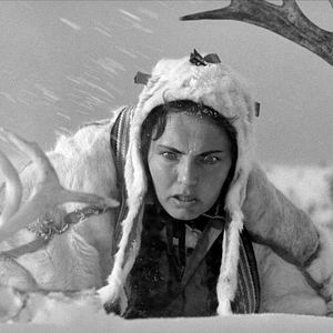 Photo Le Renne blanc