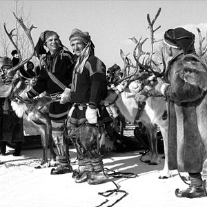 Photo Le Renne blanc