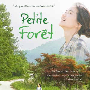Photo Petite forêt