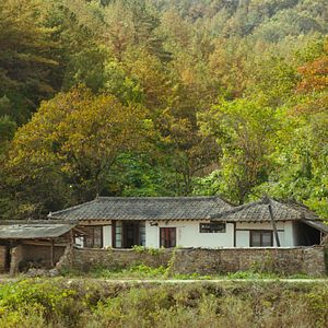 Photo Petite forêt