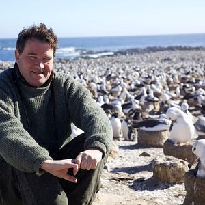 Photo Alastair Fothergill