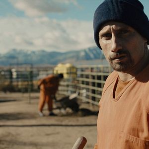 Photo Matthias Schoenaerts