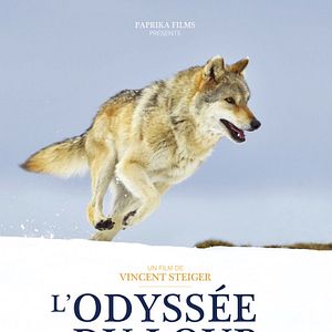 Photo L'Odyssée du loup