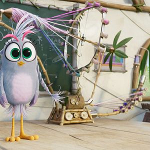 Photo Angry Birds : Copains comme cochons