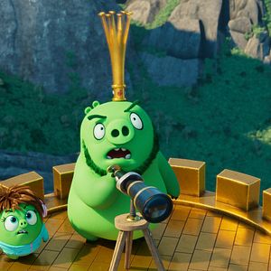 Photo Angry Birds : Copains comme cochons