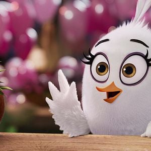 Photo Angry Birds : Copains comme cochons