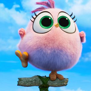 Photo Angry Birds : Copains comme cochons