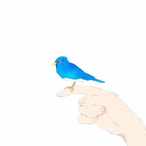 Photo Liz et l'oiseau bleu