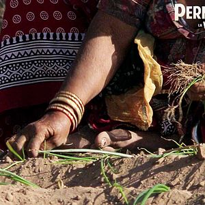 Photo Permaculture, la voie de l'Autonomie