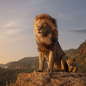 Photo Le Roi Lion
