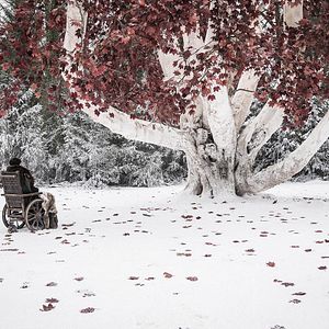 Photo Game of Thrones