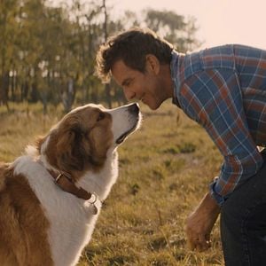 Photo Dennis Quaid