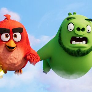 Photo Angry Birds : Copains comme cochons