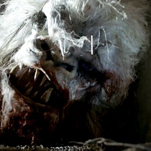 Photo The Head Hunter