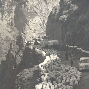 Photo La Caravane blanche