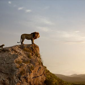Photo Le Roi Lion