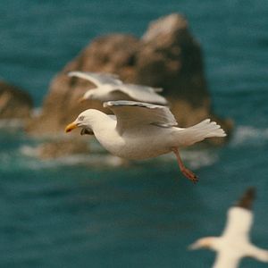 Photo Le Territoire des autres
