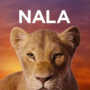Photo Le Roi Lion