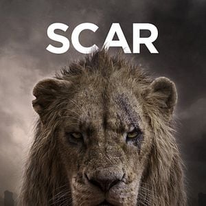 Photo Le Roi Lion