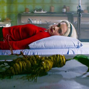 Photo Les Nouvelles aventures de Sabrina