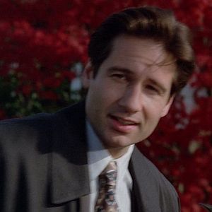 Photo X-Files