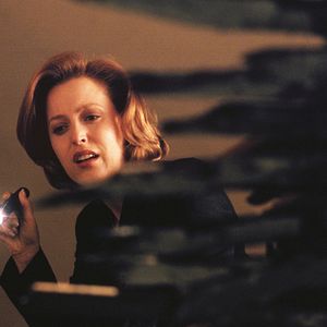 Photo X-Files