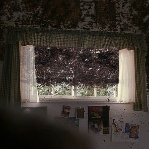 Photo X-Files