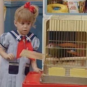 Photo La Fête à la maison