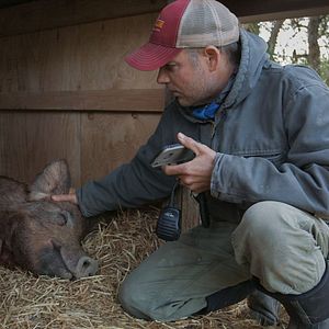Photo Tout est possible (The biggest little farm)