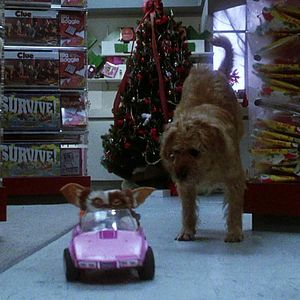 Photo Gremlins