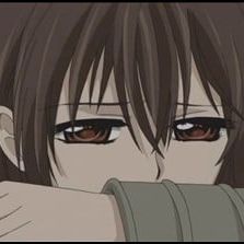Photo Vampire Knight