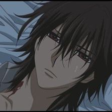 Photo Vampire Knight