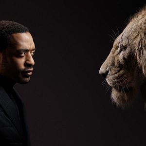 Photo Le Roi Lion