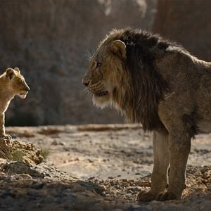 Photo Le Roi Lion