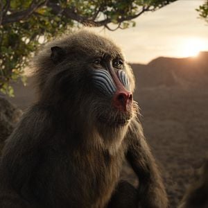 Photo Le Roi Lion