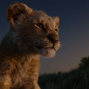 Photo Le Roi Lion