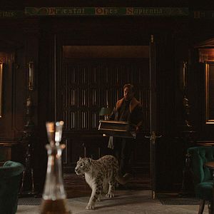 Photo His Dark Materials : À la croisée des mondes